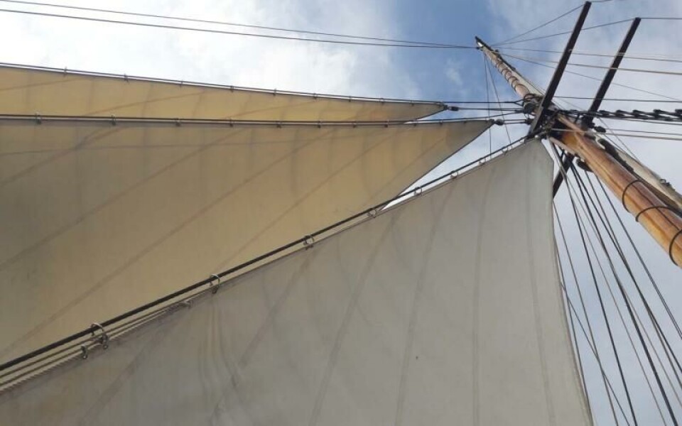 Foto: Annika Hollsten