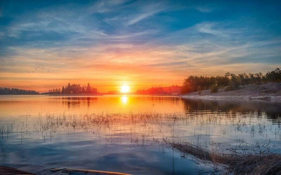 Foto: Andrejs Maculskis