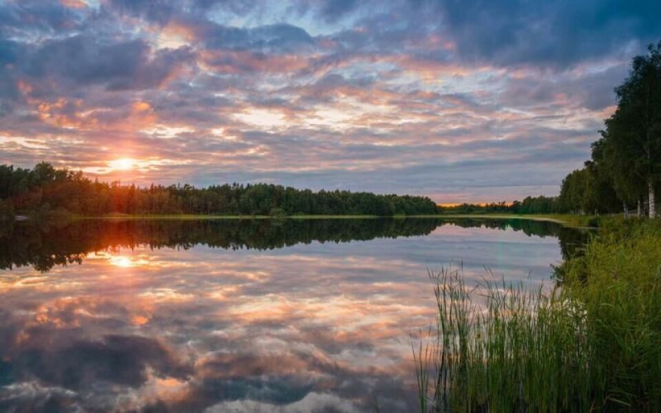 Foto: Andrejs Maculskis