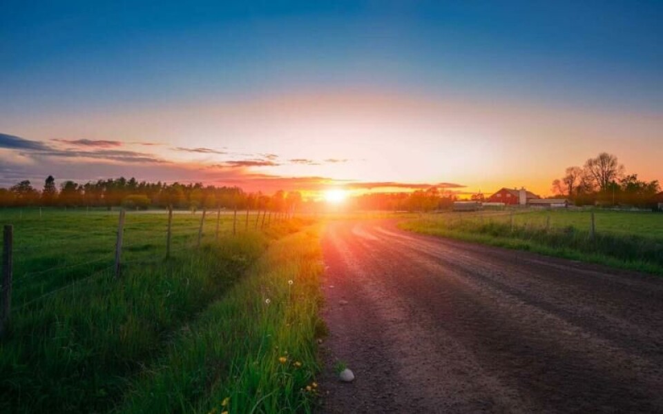 Foto: Andrejs Maculskis