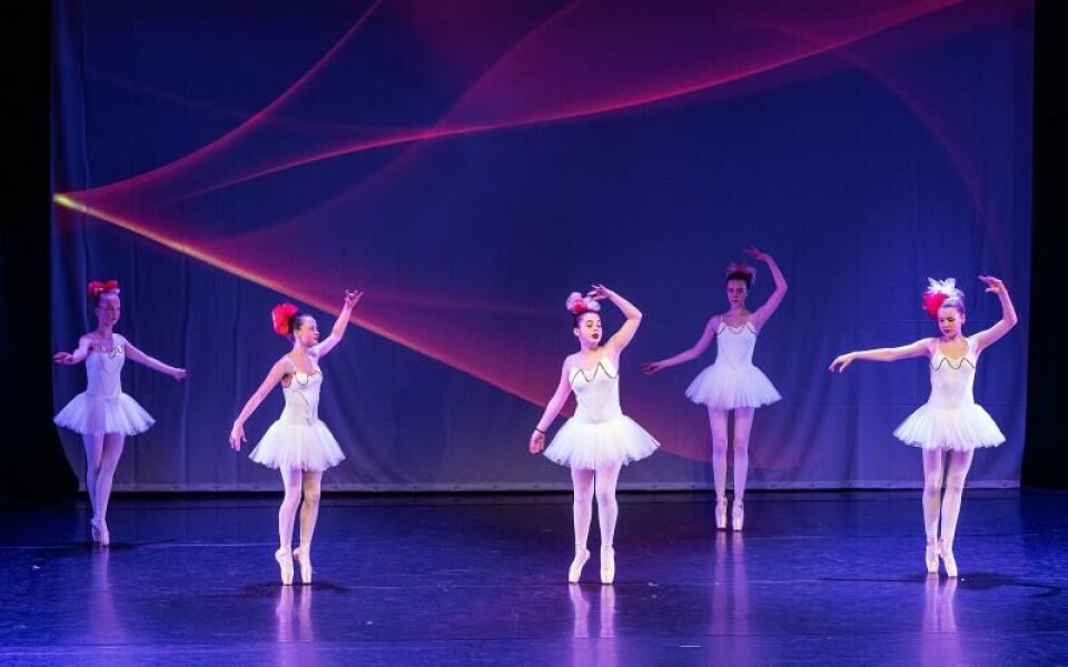 Foto: DANIEL ERIKSSON