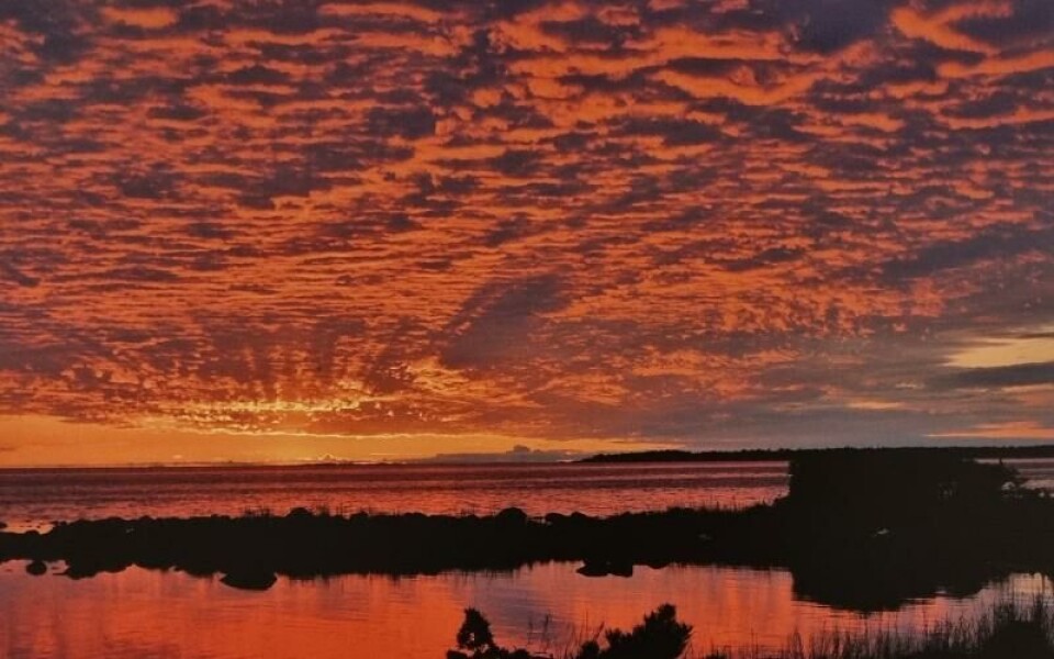 Siv Mattsson har fotograferat havet vid Eckerö.Foto: