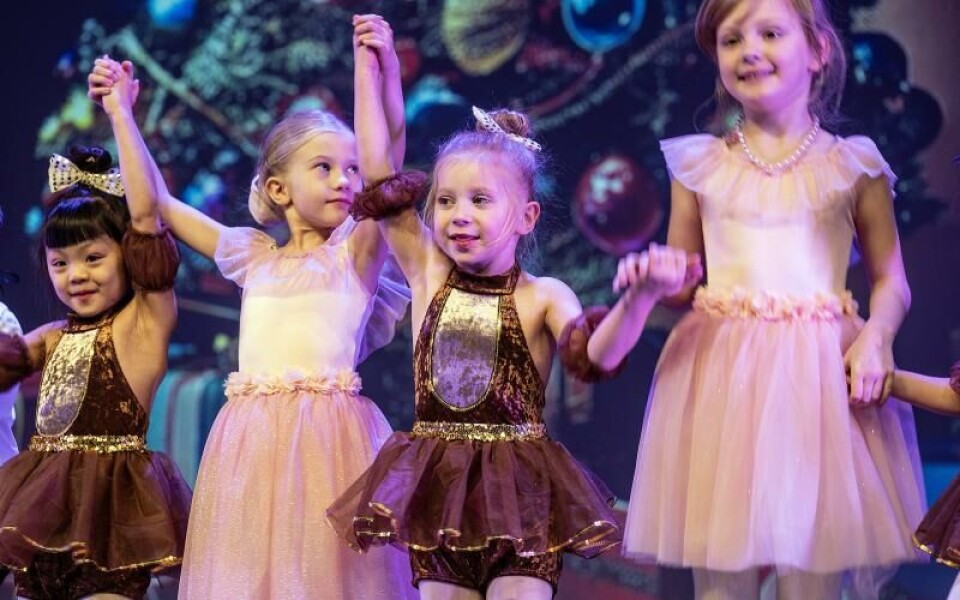 Foto: DANIEL ERIKSSON