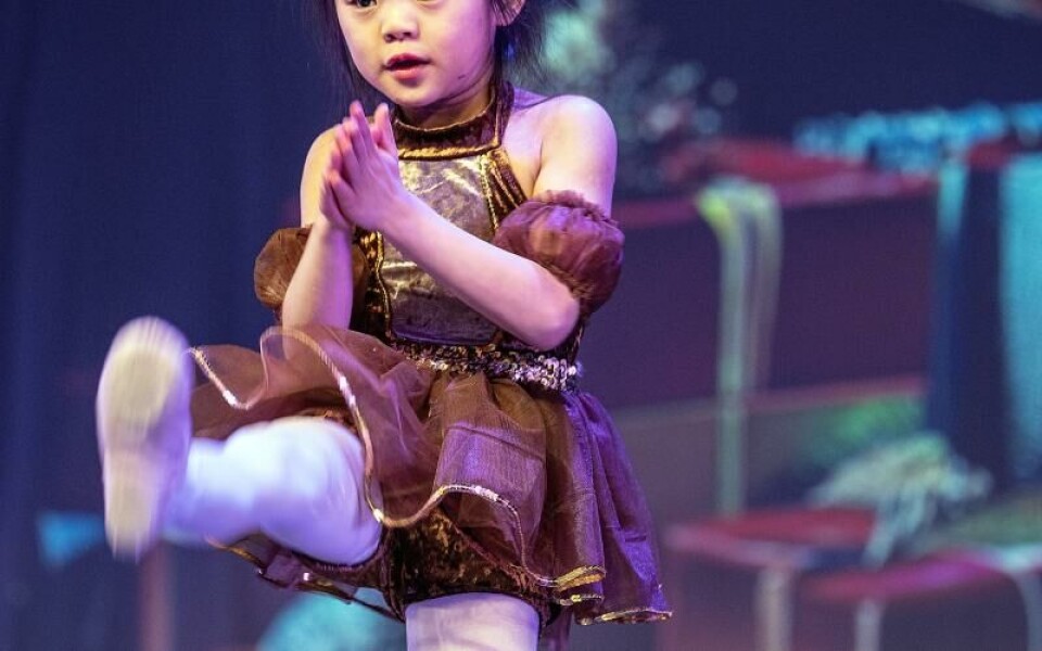 Foto: DANIEL ERIKSSON