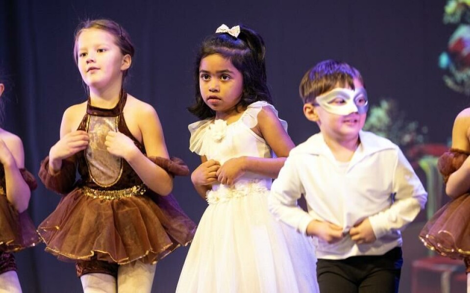 Foto: DANIEL ERIKSSON