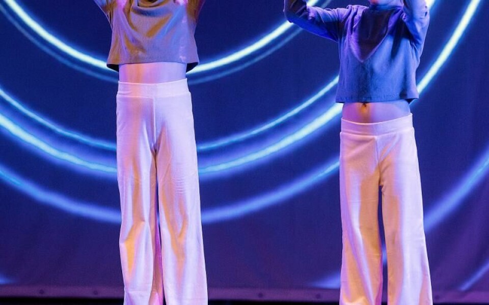 Foto: DANIEL ERIKSSON