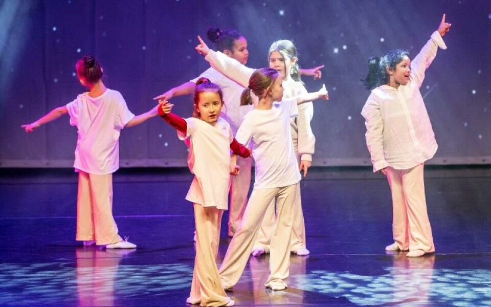 Foto: DANIEL ERIKSSON