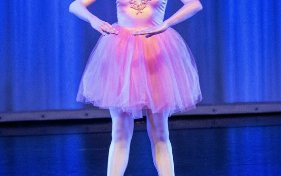 Foto: DANIEL ERIKSSON