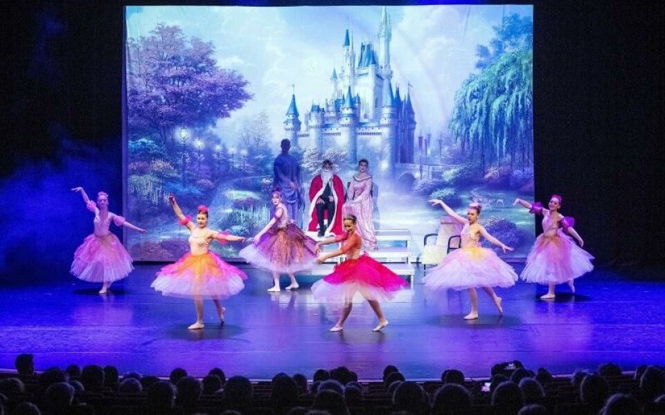 Foto: DANIEL ERIKSSON