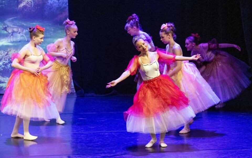 Foto: DANIEL ERIKSSON