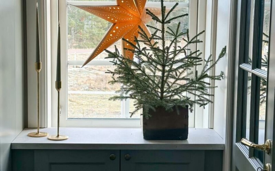 Levande material från skogen är både billigt och fint.Foto: