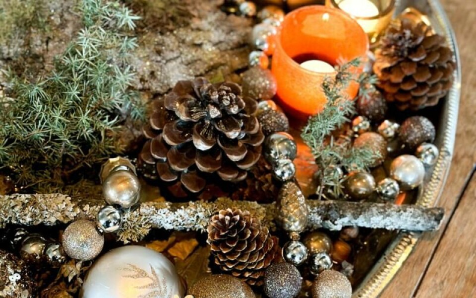 Att använda sig av levande material när man dekorerar kan bli väldigt lyckat. Foto: