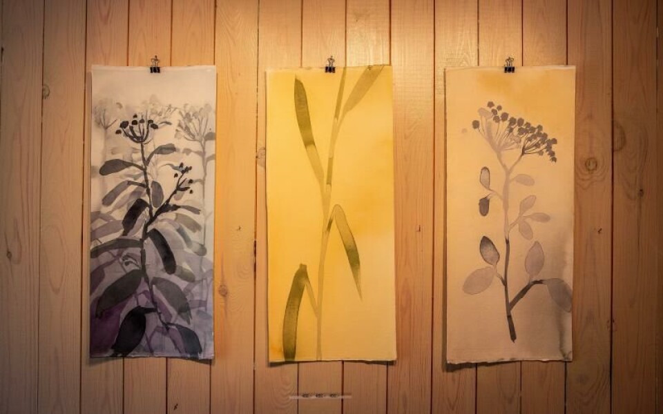 Foto: Cajsa Sofie Borgstrom