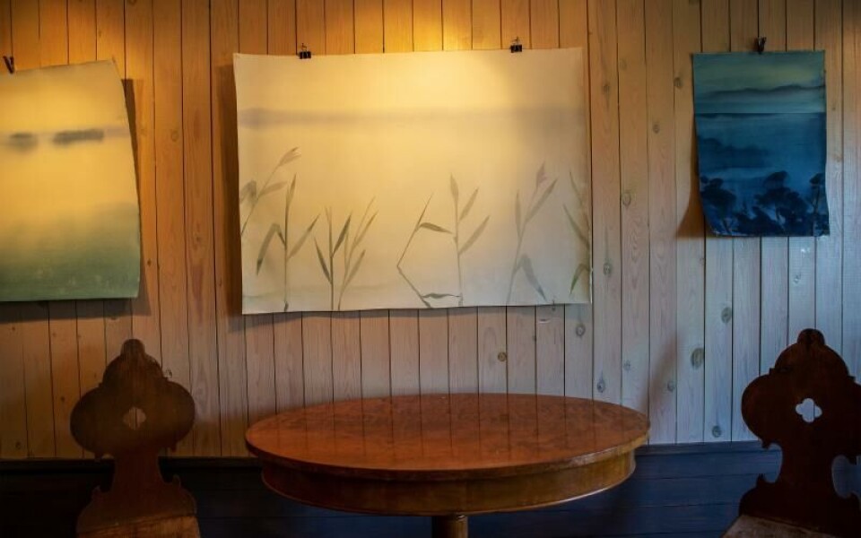 Foto: Cajsa Sofie Borgstrom