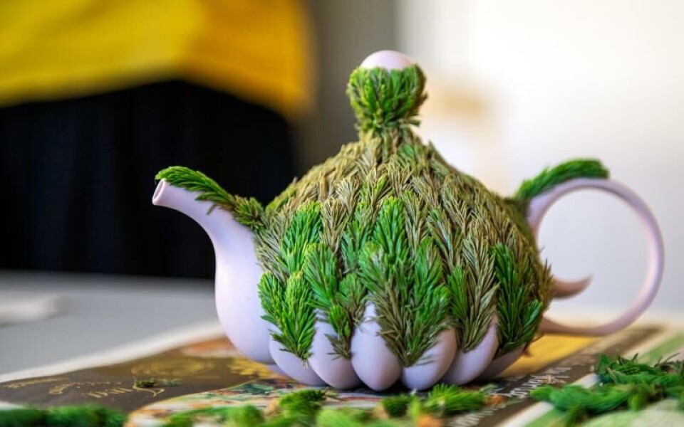 En av Seikas tekoppar, med en åländs twist. Foto: