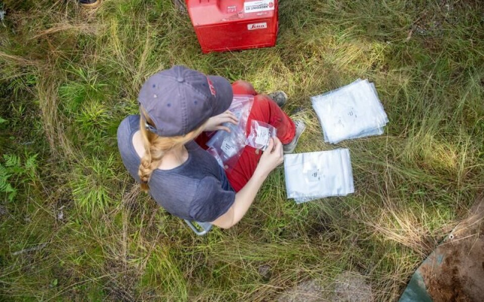 Foto: Hülya Tokur-Ehres