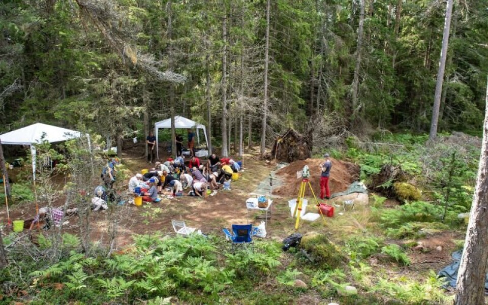 Foto: Hülya Tokur-Ehres