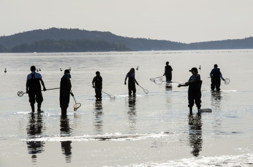 620.000 delas ut i stöd för miljöverksamhet Olika föreningar med miljöinriktad verksamhet har tilldelats Paf-medel.