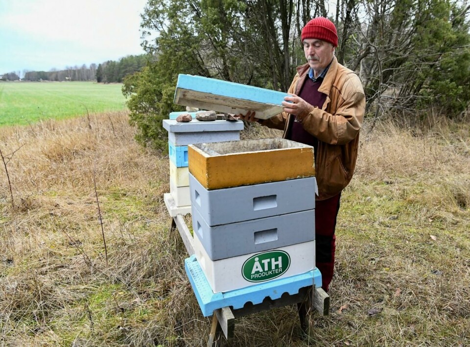 Uppemot 30.000 honungsbin finns i varje bikupa. Det berättar Torbjörn Eckerman från biodlarföreningen.