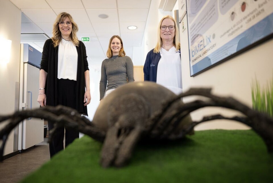 Infektionsläkaren Marika Nordberg och de biomedicinska analytikerna Nellie Carlströmer Berthén och Susanne Olausson överraskades av vissa av studiens resultat. (Fästingen i förgrunden är ett konstverk signerat Johan Karlsson.) Infektionsläkaren Marika Nordberg och de biomedicinska analytikerna Nellie Carlströmer Berthén och Susanne Olausson överraskades av vissa av studiens resultat. (Fästingen i förgrunden är ett konstverk signerat Johan Karlsson.)