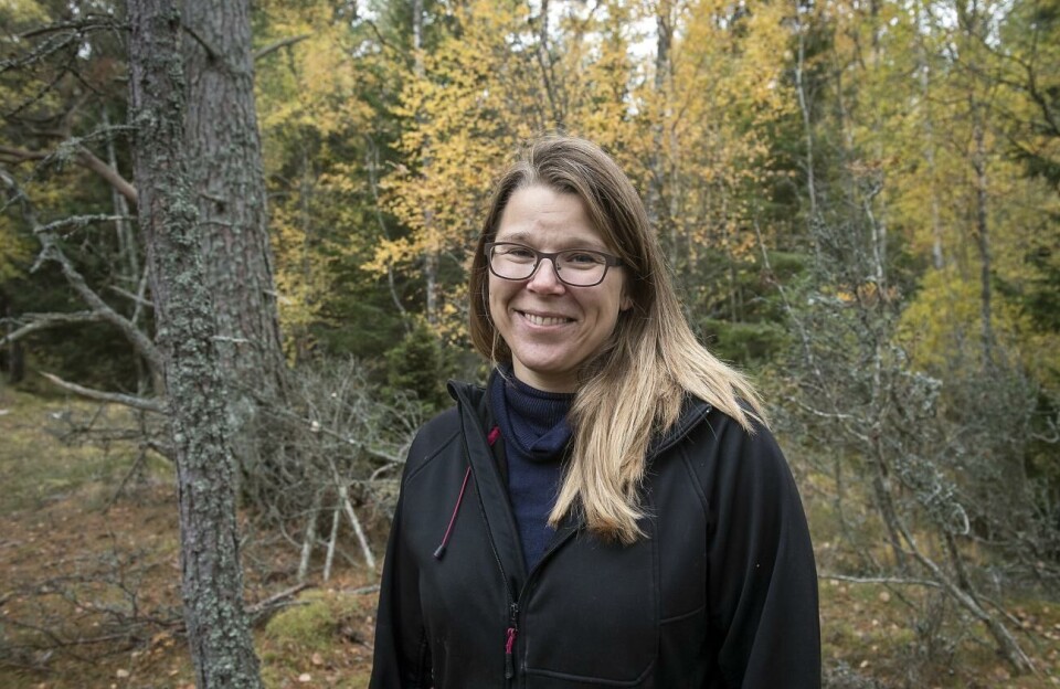 ÅPF:s styrelseordförande Birgitta Eriksson-Paulson. Birgitta Eriksson-Paulson är jordbrukare och ordförande i Ålands producentförbund. Hon säger att en vildsvinsstam är förödande för dem som ska odla.