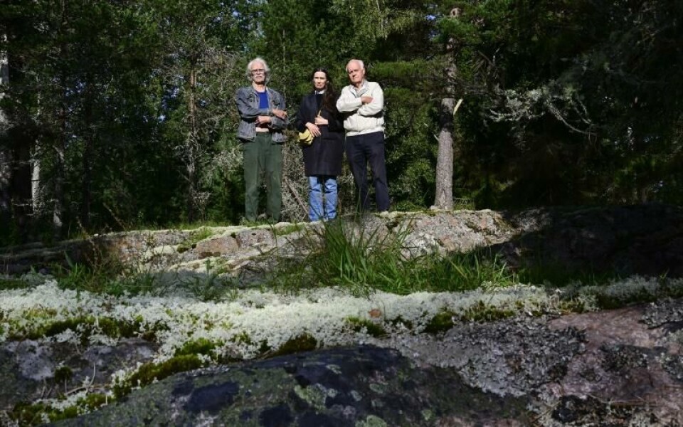 Foto: Robert Jansson