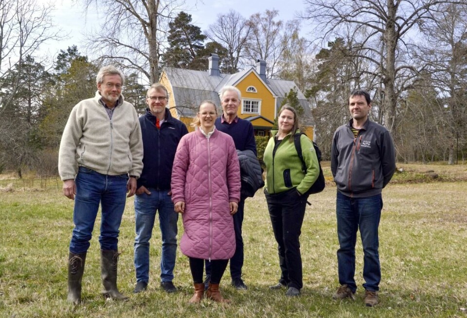 Åbo akademis forskare inom miljö- och marinbiologi har samlats på Husö biologiska station för seminarier i olika ämnen. Man har också gjort tilbakablickar på verksamheten och diskuterat strategier för framtiden. Från vänster Mikael von Numers, Christoffer Boström, Anne Törnroos-Remes, Erik Bonsdorff, Sonja Salovius-Lauren och stationsföreståndare Martin Snickars.