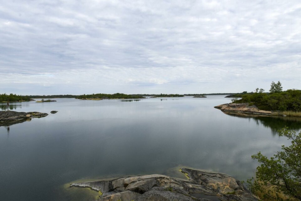 Brändö godkänner ett villkorat samtycke till att LR får göra en koordinerad planering av havsområdena i jätteprojektet Sunnanvind. Brändö skärgård
