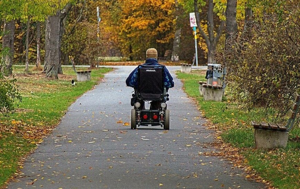 En närstånde till en demenssjuk man hoppas att politikerna ska välja bort Hälsans hus. ”Min dröm är ett demensboende med fågelsång och naturen nära”, säger hon. Bilden är inte tagen på Åland.