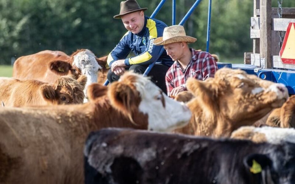 Simon Rosenberg och Jonas Rosenberg.Foto: HULYA TOKUR EHRES