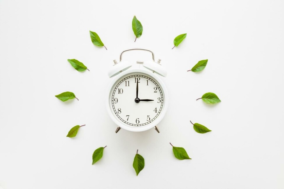 Klockan 03.00 ska klockan vridas fram till 04.00. Green leaves around white alarm clock on light table background. Time change concept. Closeup. Top down view.
