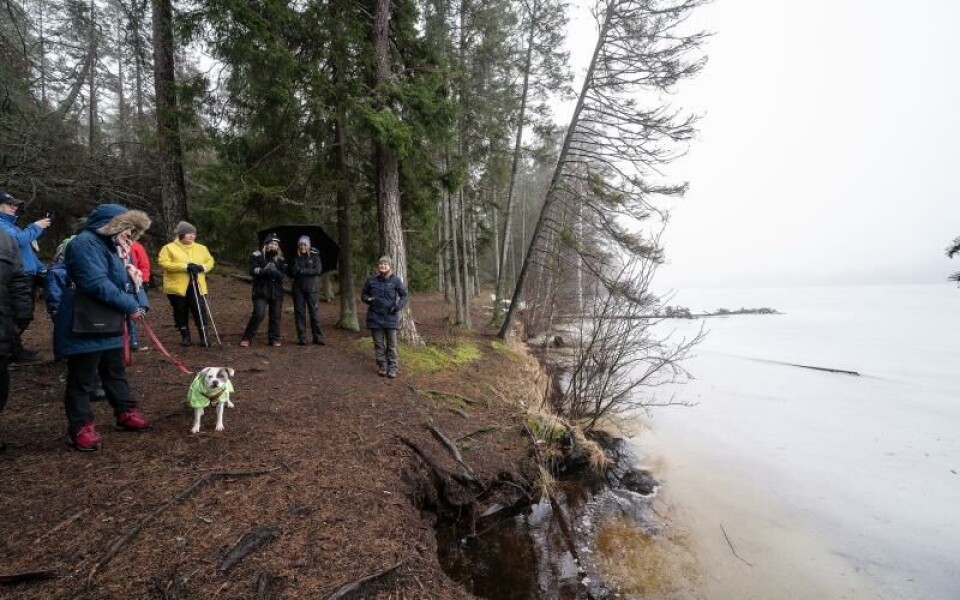 Vandring vid Dalkarby träsk, vattentäkter, Östersjöns dagFoto: DANIEL ERIKSSON
