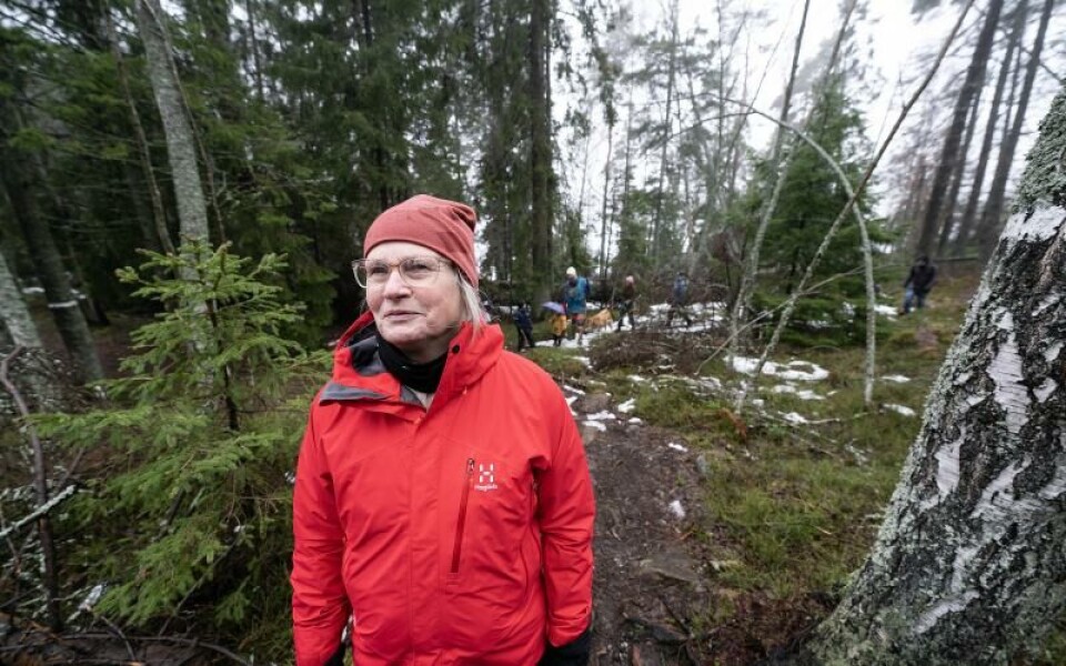 Vandring vid Dalkarby träsk, vattentäkter, Östersjöns dagFoto: DANIEL ERIKSSON
