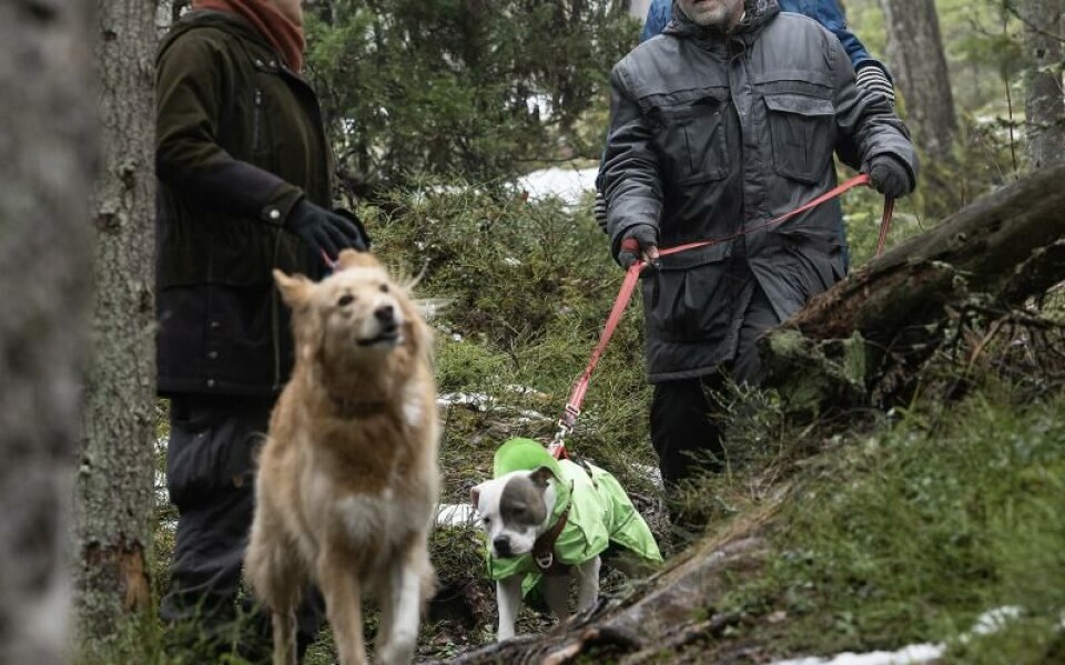 Vandring vid Dalkarby träsk, vattentäkter, Östersjöns dagFoto: DANIEL ERIKSSON
