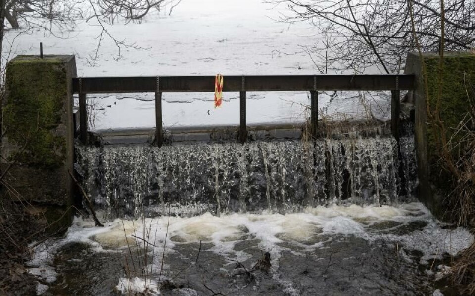 Vandring vid Dalkarby träsk, vattentäkter, Östersjöns dagFoto: DANIEL ERIKSSON
