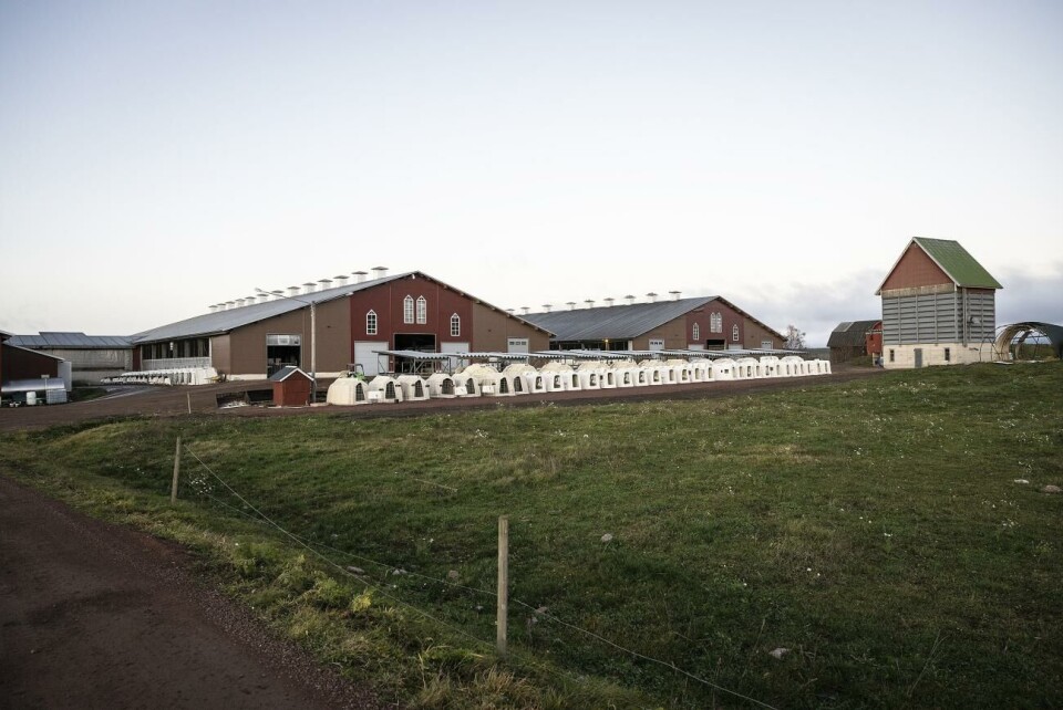 Det är Ålands tingsrätt som fattat beslutat ett belägga tillgångar till ett värde av en halv miljon euro vid Haga Kungsgård i kvarstad. Haga Kungsgård i Saltvik.
