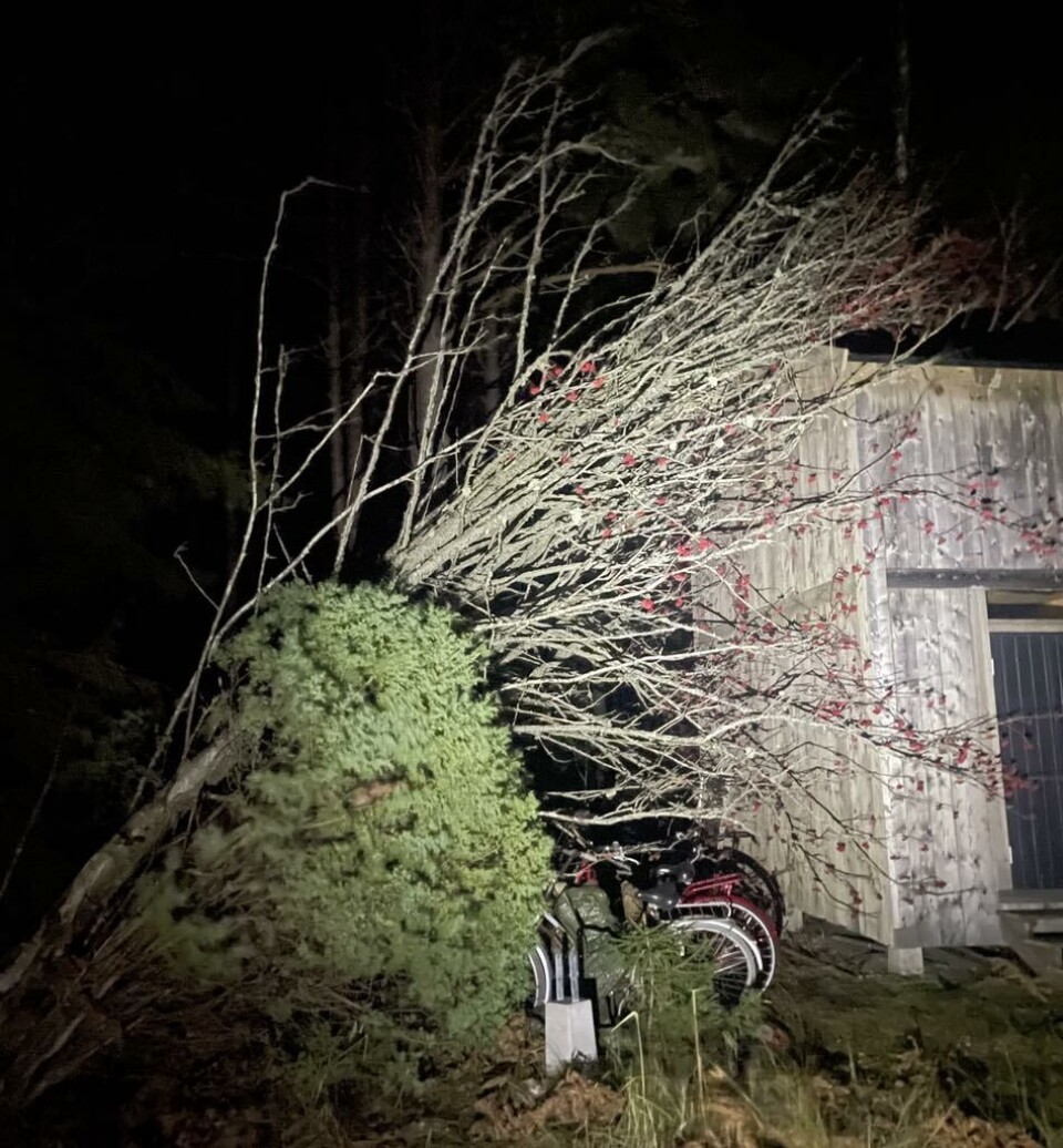 Som mest var 3.400 hushåll strömlösa under nattens storm.