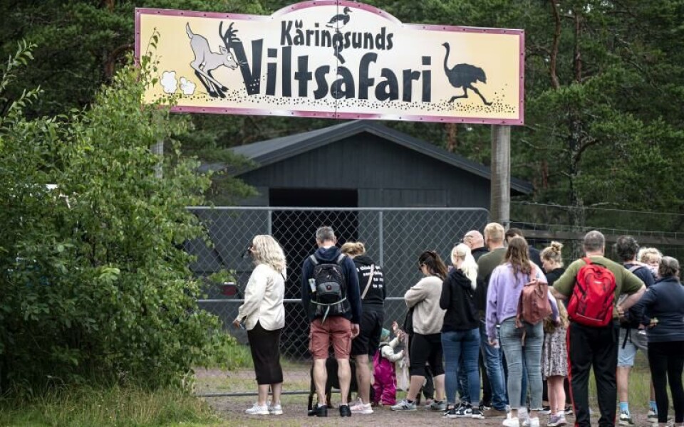 Foto: Amir Karbalaei