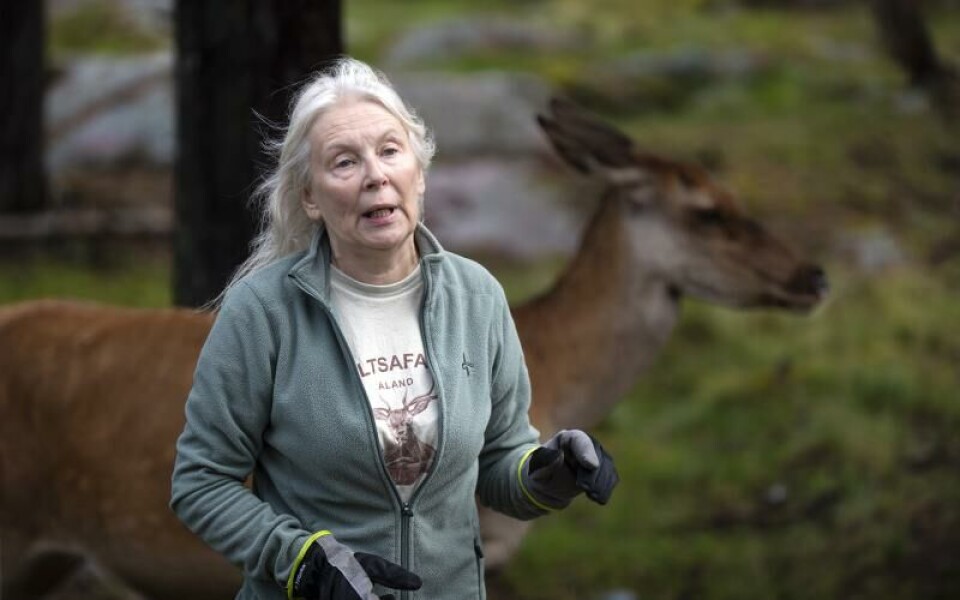 Foto: Amir Karbalaei