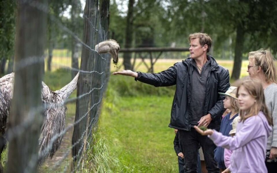 Foto: Amir Karbalaei