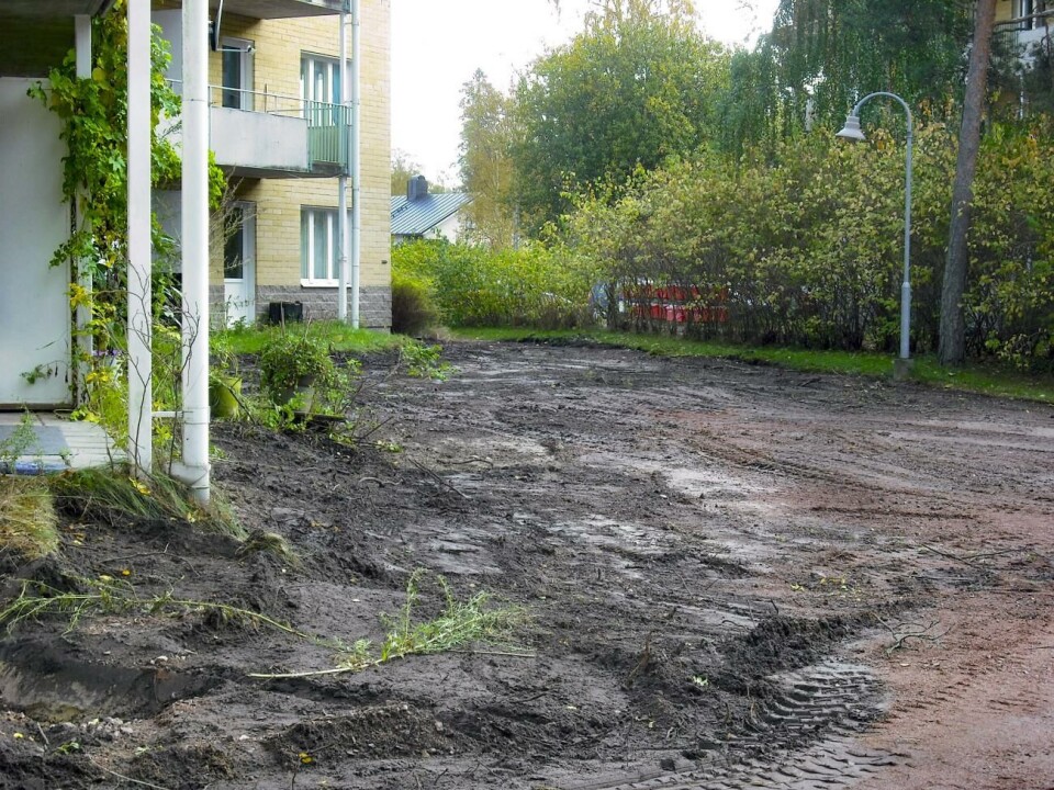 Gårdarna och infarten till husen på Skönviksvägen har grävts upp och träd har sågats ned. Enligt fastighetsägaren handlar det om en nödvändig uppsnyggning. Skönviksvägen.