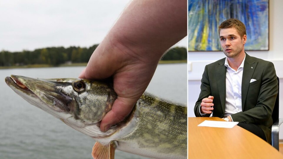 Gäddpaketet innebär också bättre förutsättningar för fritidsfisket säger närings- och miljöminister Jesper Josefsson (C)