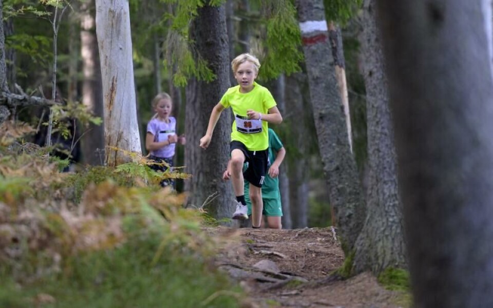 Foto: Robert Jansson