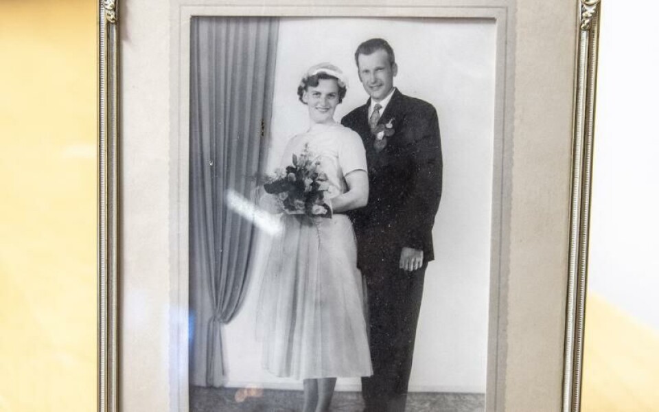 Röda korsgården fyller 50Foto: Hülya Tokur-Ehres