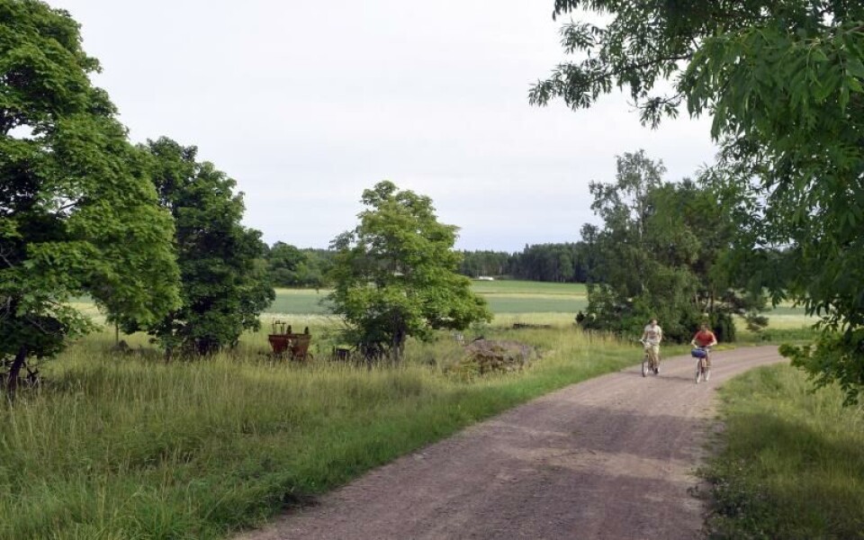 Foto: Ellinor Persson