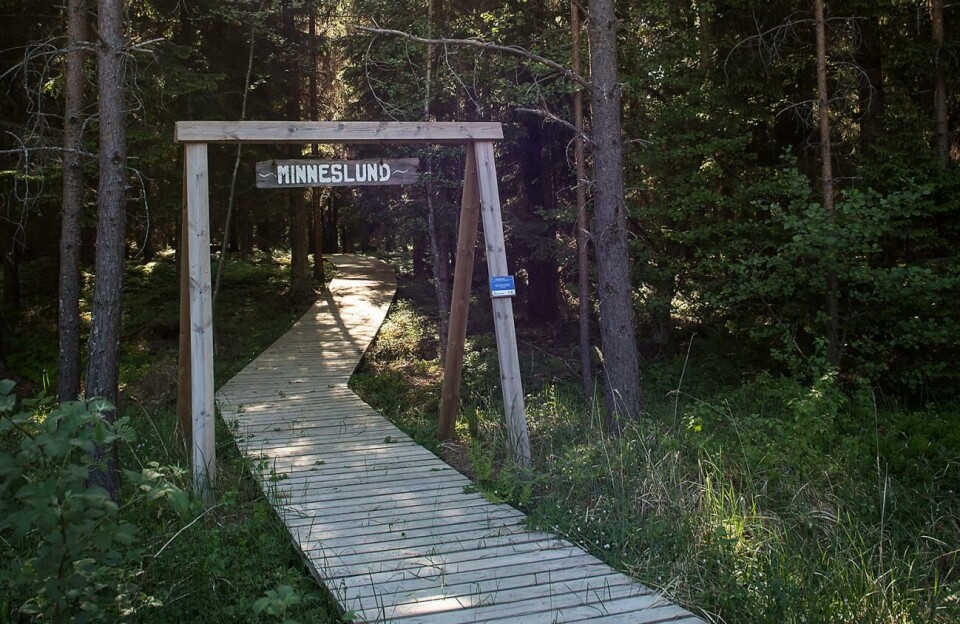 Krematorieföreningen kritisk till uteblivet stöd
