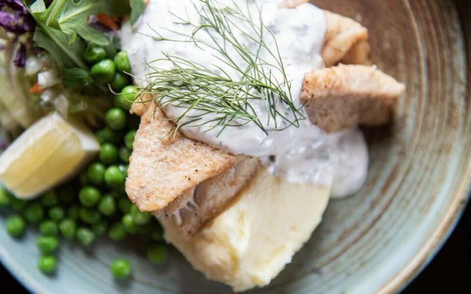 Den här dagen serveras bland annat abborre med kall dillsås och potatismos. Foto: Hülya Tokur-Ehres
