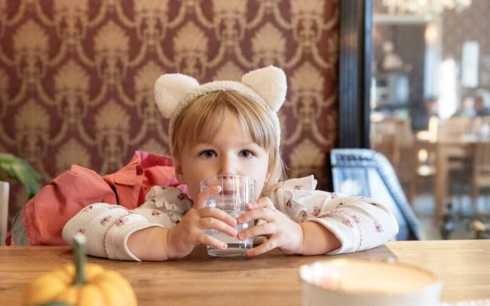 Luna Sundqvist är dagens hittills yngsta besökare. Lunchsällskapet består av föräldrarna Frida Sjöroos och Nicklas Sundqvist.Foto: Hülya Tokur-Ehres
