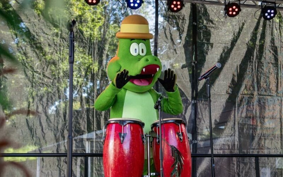 Foto: Hülya Tokur-Ehres