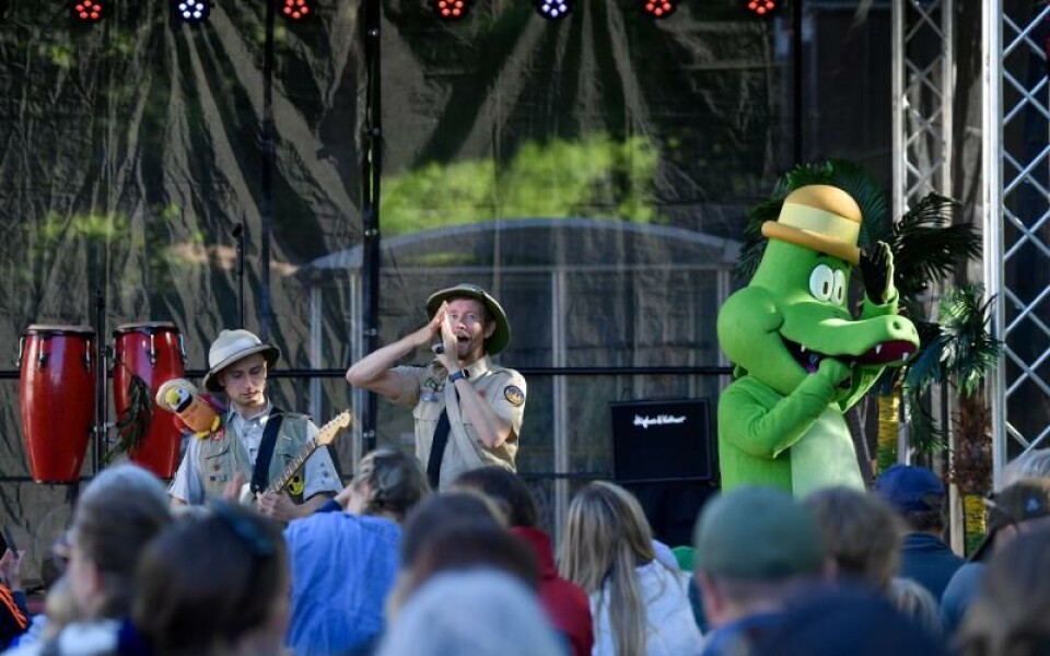 Foto: Hülya Tokur-Ehres